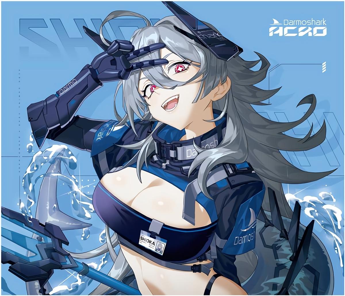 Darmoshark AP01 Shiaoka Poron Base Gaming Mousepad (Control)
