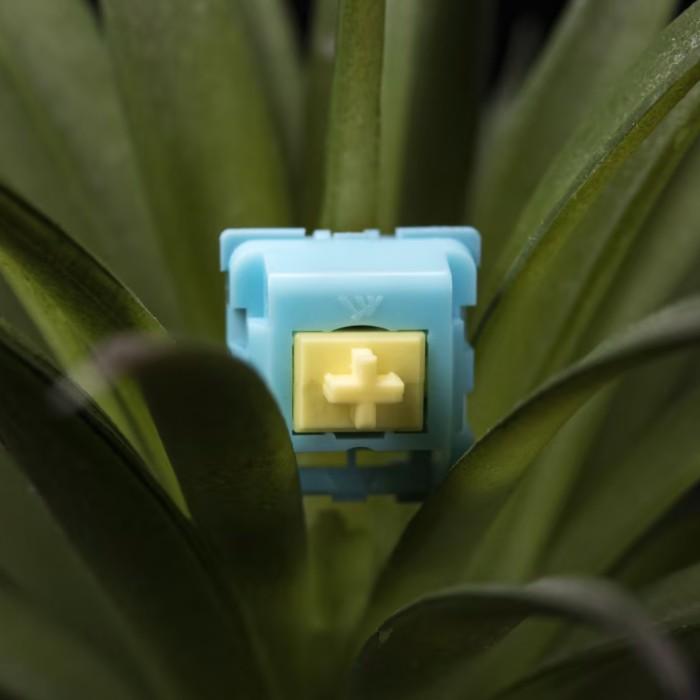 Content KTT Sea Salt / Seasalt Mechanical keyboard switch (Linear)
