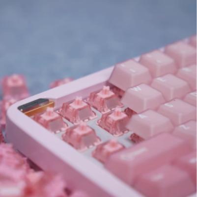 Jinyun Koi Magnetic Hall Effect Keyboard Magnetic switch (Linear)