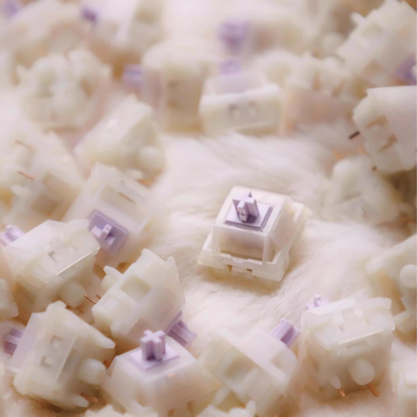 Kegeek Little Witch Pre-Lubed Mechanical Keyboard PCB Mount Switch (Linear) by Dino Lab