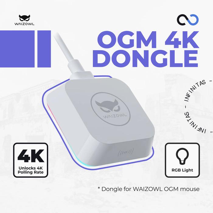 Waizowl OGM 4K Wireless Dongle