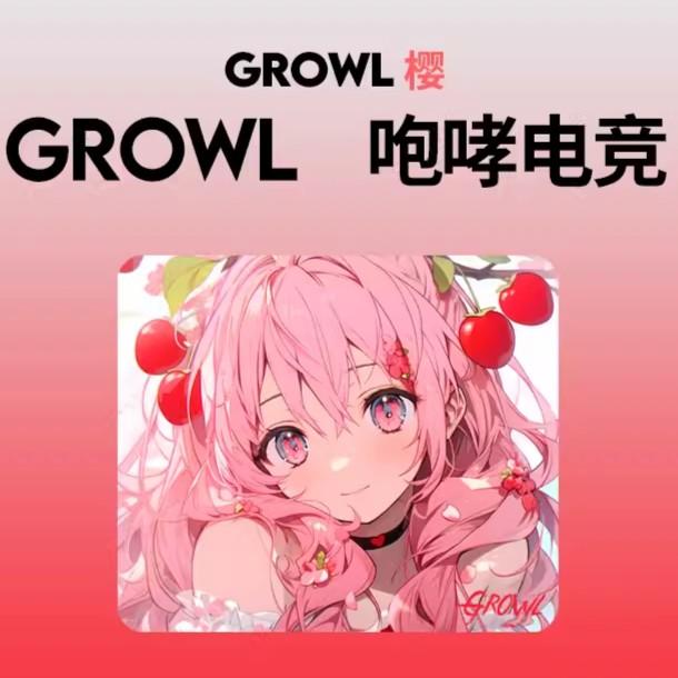 Growl YING Poron Base Gaming Mousepad (Control-Hybrid)