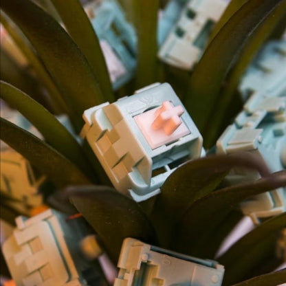 Content KTT Mint Pre-Lubed Mechanical keyboard switch (Linear)