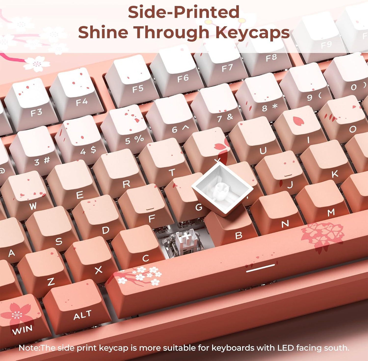 XVX Blossom Gradient Keycaps Shine Through Cherry Profile Side Legend Double-Shot PBT Keycap 132-Keys