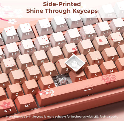 XVX Blossom Gradient Keycaps Shine Through Cherry Profile Side Legend Double-Shot PBT Keycap 132-Keys