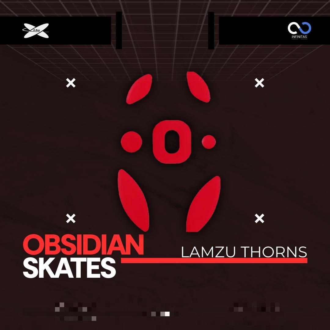 XRaypad Obsidian Lamzu Thorn PTFE Mouse Feet / Mouse Skate for Glass pad (Control)