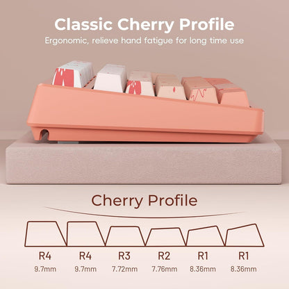 XVX Blossom Gradient Keycaps Shine Through Cherry Profile Side Legend Double-Shot PBT Keycap 132-Keys