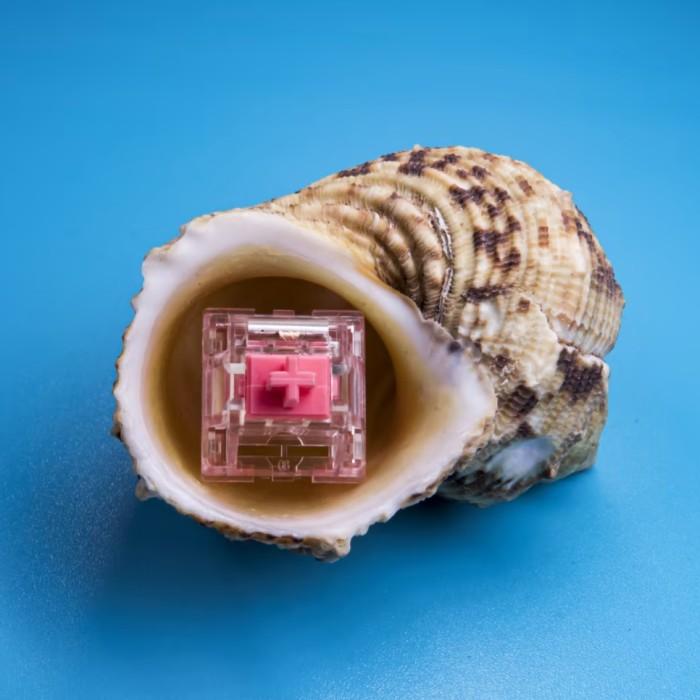 Content KTT Strawberry switch (Linear)