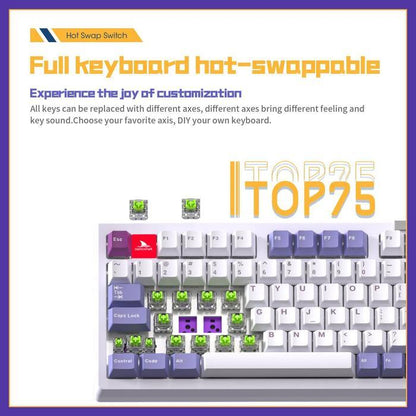 Darmoshark TOP-75 / TOP75 3 Mode Top Mount 75% Mechanical Keyboard