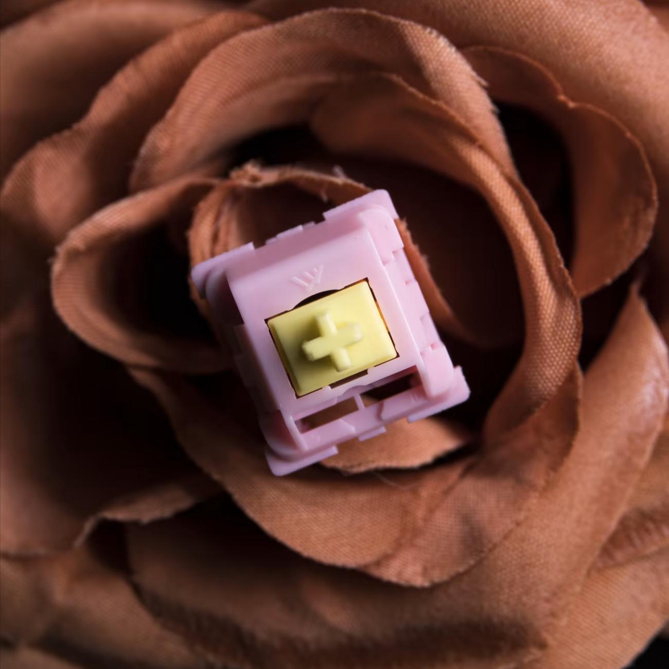 Content KTT Peach switch (Linear)