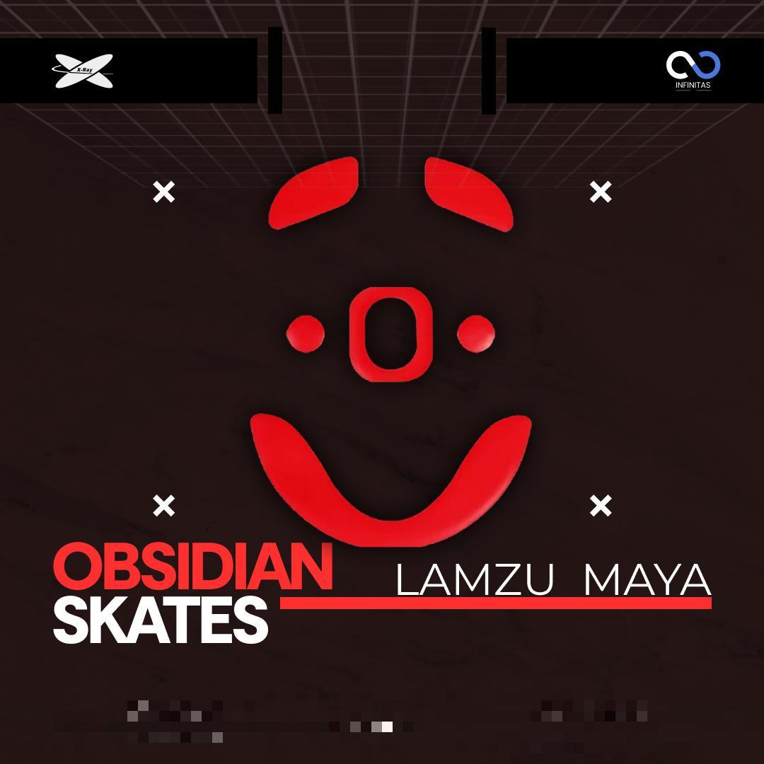 XRaypad Obsidian Lamzu Maya PTFE Mouse Feet / Mouse Skate for Glass pad (Control)