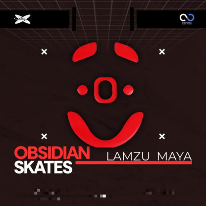 XRaypad Obsidian Lamzu Maya PTFE Mouse Feet / Mouse Skate for Glass pad (Control)